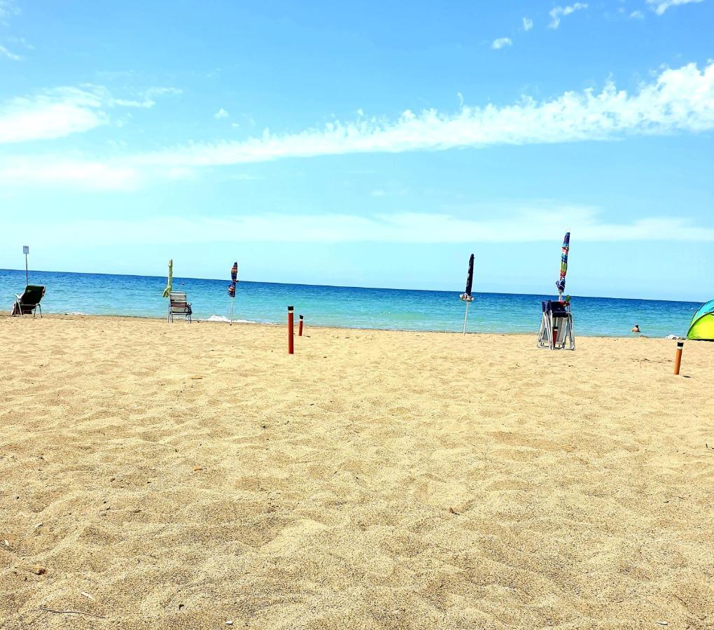 Hotel Lupo Di Mare Marina di Castagneto Carducci Eksteriør bilde