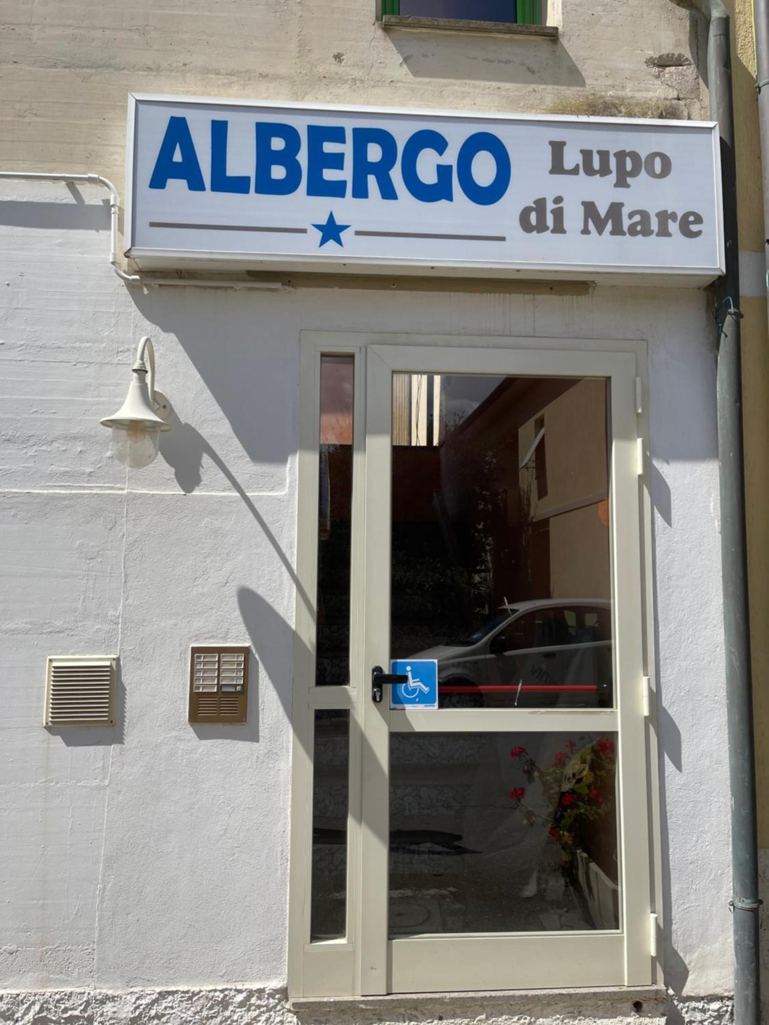Hotel Lupo Di Mare Marina di Castagneto Carducci Eksteriør bilde